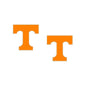 Tennessee Enamel Stud Earrings
